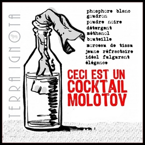 2012 recette molotov