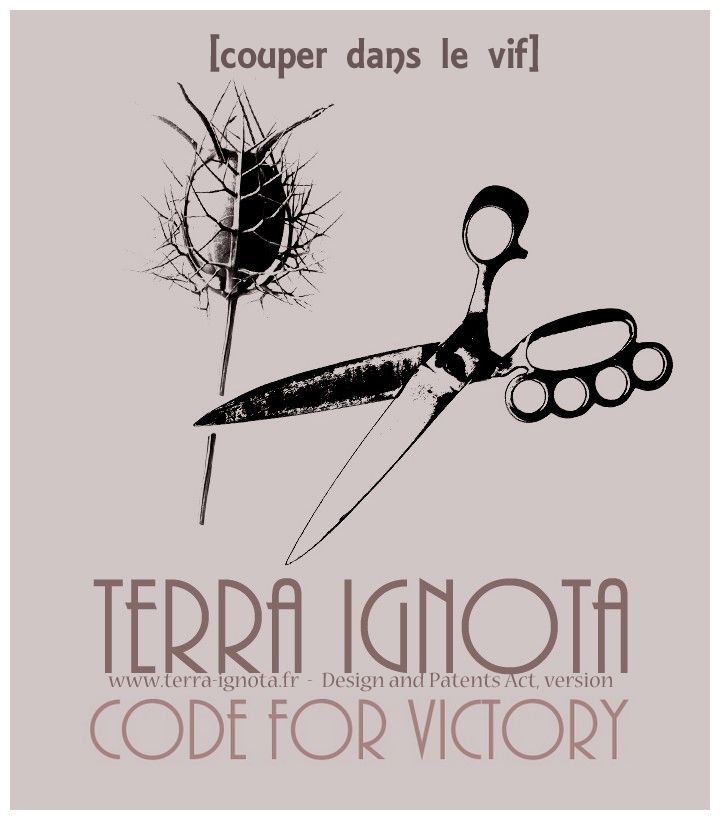 Affiche terra ignota code for victory III 1