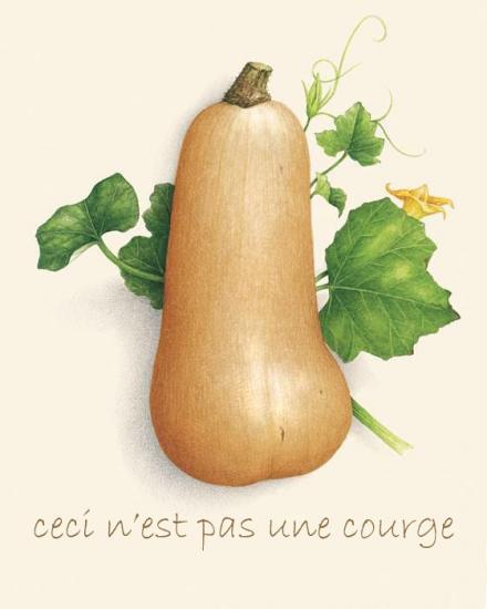 ceci-n-est-pas-une-courge-copie.jpg