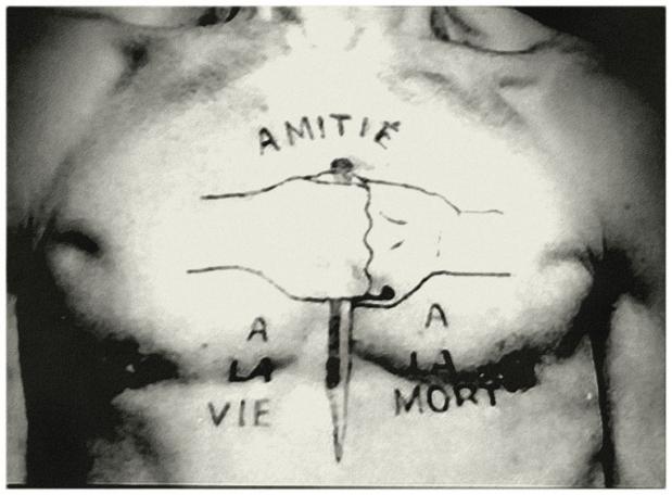 Terra ignota amitie a la vie a la mort