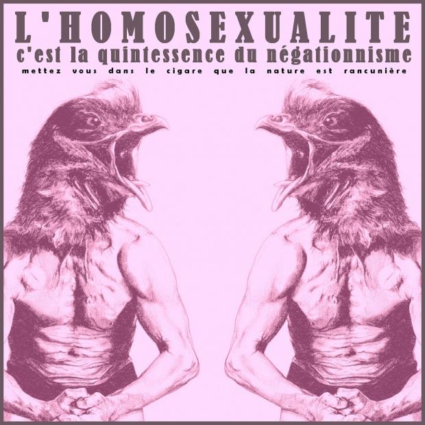 Terra ignota l homosexualite c est la quintessence du negationnisme