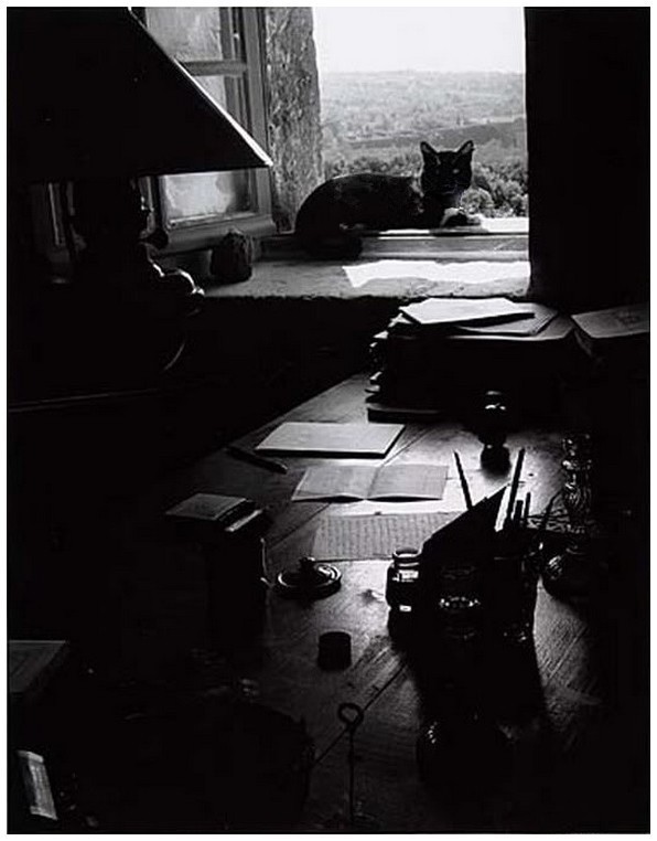 Terra ignota photo de willy ronis 1955