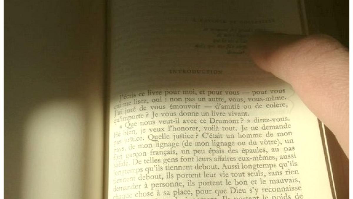 Littérature, kidnapping et pornographie