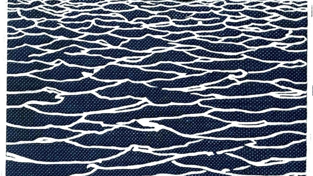 L’alliance des mâts qui défie les tempêtes