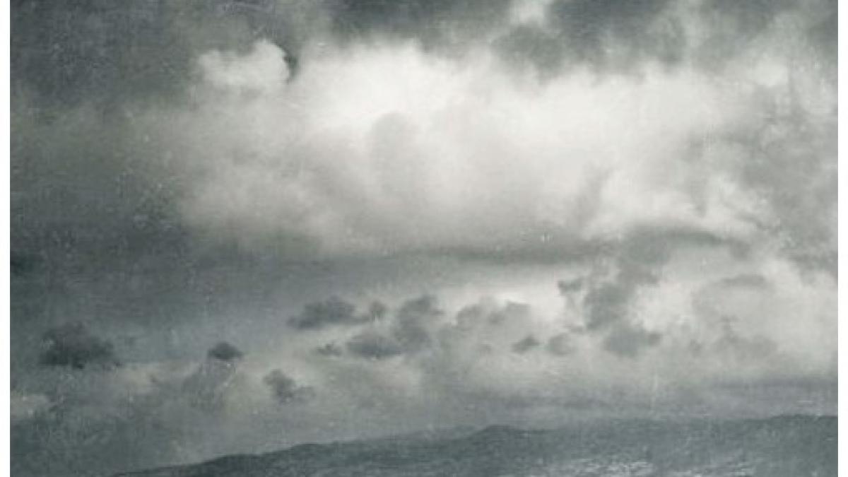 Morsure de la vague, goût du sang bleu