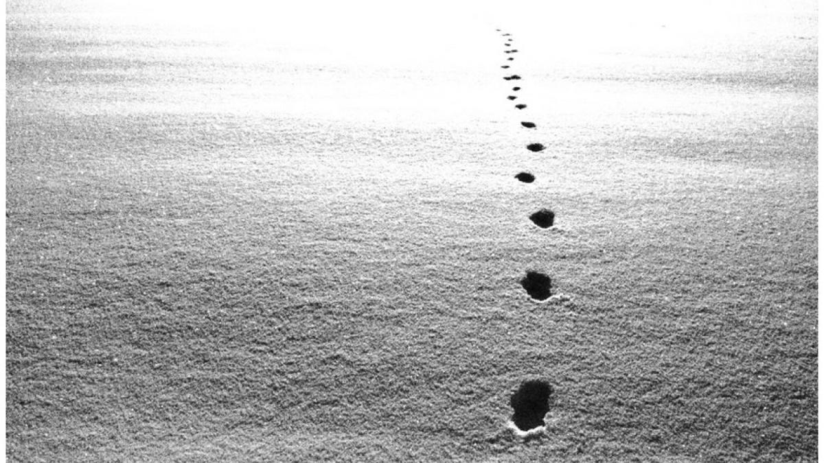 Protocole de solitude...
